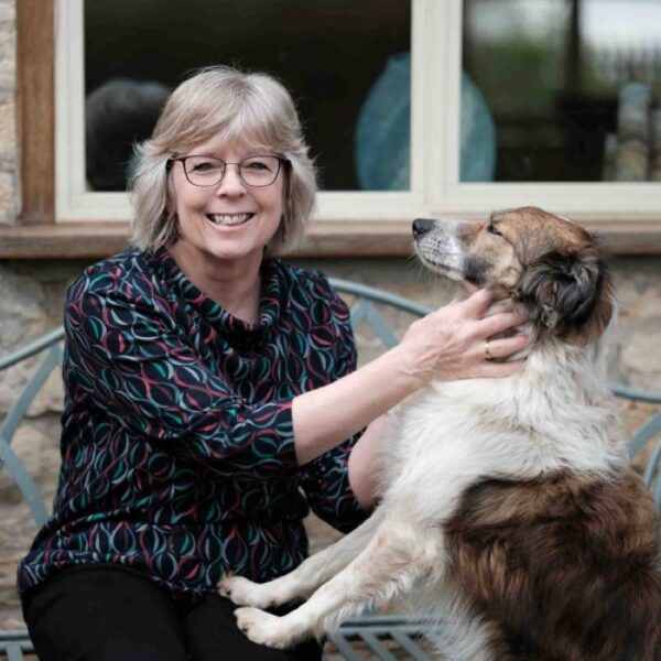 Karen Stewart Textiles